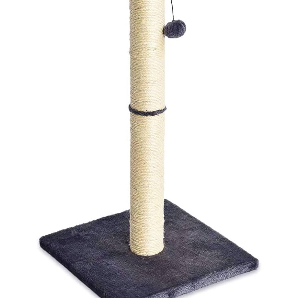 Cat Scratching Post with Black Base